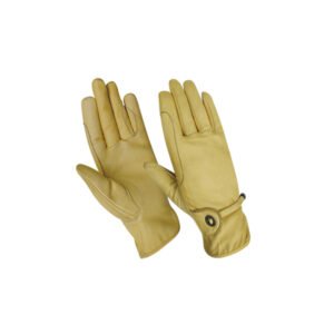 Riding Gloves